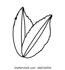Leaves eco symbol