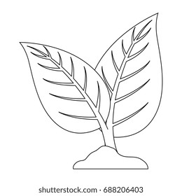 Leaves eco symbol