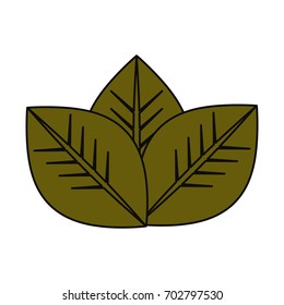 Leaves eco symbol