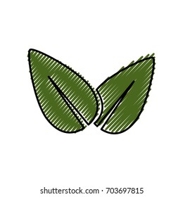 Leaves eco symbol