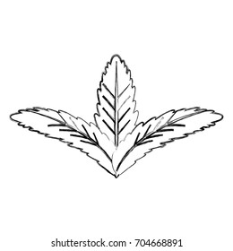 Leaves eco symbol