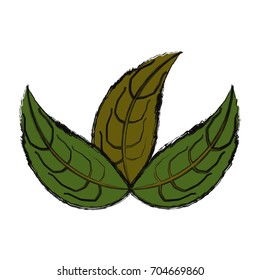 Leaves eco symbol