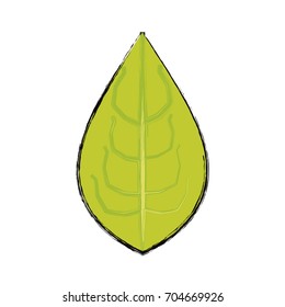 Leaves eco symbol