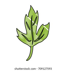 Leaves eco symbol