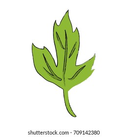 Leaves eco symbol