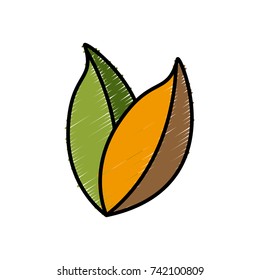 Leaves eco symbol
