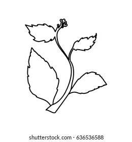 Leaves ecology symbol