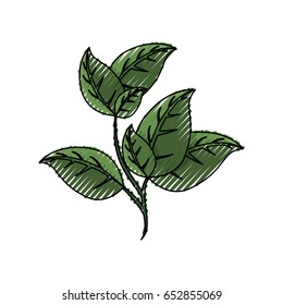 Leaves ecology symbol