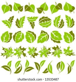 Leaves. Elements for design. Vector illustration.