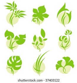 Leaves. Elements for design. Vector illustration.