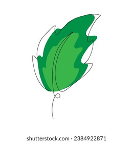 Leaves elements. Garden floral plants vector illustration.
