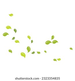 Leaves fall Background template vector illustration flat design