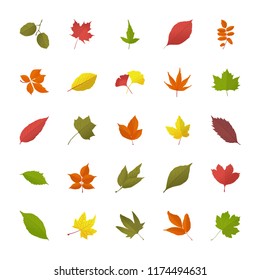 
Leaves In Fall Flat Icons 
