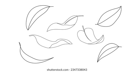 Leaves fall set in doodle style, vector illustration. Autumn symbol nature.