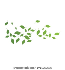 Leaves fall vector illustration design