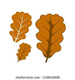 Leaves fallen autumn