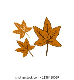 leaves fallen autumn 