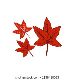 Leaves fallen autumn design element