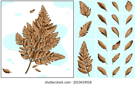 Leaves are falling Autumn is calling