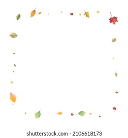 Leaves Falling. Autumn Flying Foliage. Chaotic Green, Yellow, Red Leaf Flying On White Background. Forest Design, Nature Elements. Ecology Vector Illustration. Environment Backdrop.