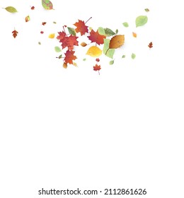 Leaves Falling. Autumn Flying Foliage. Chaotic Green, Yellow, Red Leaf Flying On White Background. Forest Design, Nature Elements. Ecology Vector Illustration. Environment Backdrop.