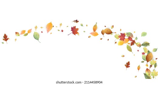 Leaves Falling. Autumn Flying Foliage. Chaotic Green, Yellow, Red Leaf Flying On White Background. Forest Design, Nature Elements. Ecology Vector Illustration. Environment Backdrop.