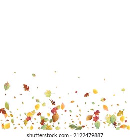 Leaves Falling. Autumn Flying Foliage. Chaotic Green, Yellow, Red Leaf Flying On White Background. Forest Design, Nature Elements. Ecology Vector Illustration. Environment Backdrop.