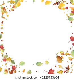 Leaves Falling. Autumn Flying Foliage. Chaotic Green, Yellow, Red Leaf Flying On White Background. Forest Design, Nature Elements. Ecology Vector Illustration. Environment Backdrop.