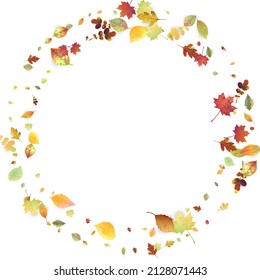 Leaves Falling. Autumn Flying Foliage. Chaotic Green, Yellow, Red Leaf Flying On White Background. Forest Design, Nature Elements. Ecology Vector Illustration. Environment Backdrop.