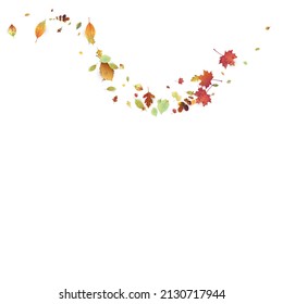 Leaves Falling. Autumn Flying Foliage. Chaotic Green, Yellow, Red Leaf Flying On White Background. Forest Design, Nature Elements. Ecology Vector Illustration. Environment Backdrop.