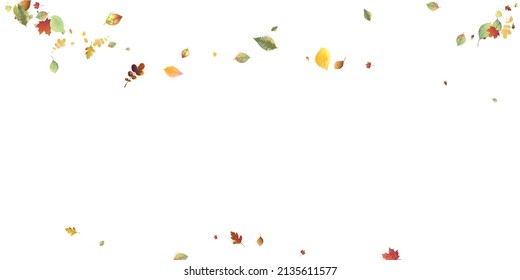 Leaves Falling. Autumn Flying Foliage. Chaotic Green, Yellow, Red Leaf Flying On White Background. Forest Design, Nature Elements. Ecology Vector Illustration. Environment Backdrop.