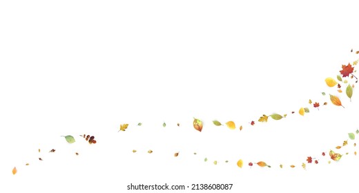 Leaves Falling. Autumn Flying Foliage. Chaotic Green, Yellow, Red Leaf Flying On White Background. Forest Design, Nature Elements. Ecology Vector Illustration. Environment Backdrop.