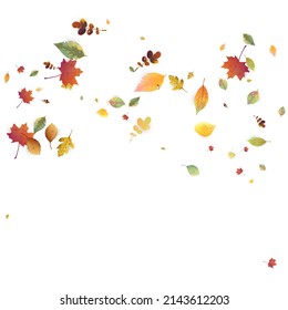 Leaves Falling. Autumn Flying Foliage. Chaotic Green, Yellow, Red Leaf Flying On White Background. Forest Design, Nature Elements. Ecology Vector Illustration. Environment Backdrop.