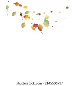 Leaves Falling. Autumn Flying Foliage. Chaotic Green, Yellow, Red Leaf Flying On White Background. Forest Design, Nature Elements. Ecology Vector Illustration. Environment Backdrop.