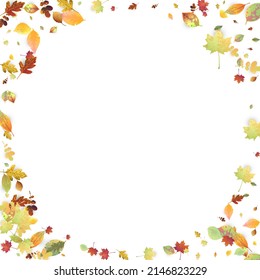 Leaves Falling. Autumn Flying Foliage. Chaotic Green, Yellow, Red Leaf Flying On White Background. Forest Design, Nature Elements. Ecology Vector Illustration. Environment Backdrop.