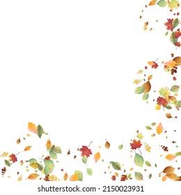 Leaves Falling. Autumn Flying Foliage. Chaotic Green, Yellow, Red Leaf Flying On White Background. Forest Design, Nature Elements. Ecology Vector Illustration. Environment Backdrop.