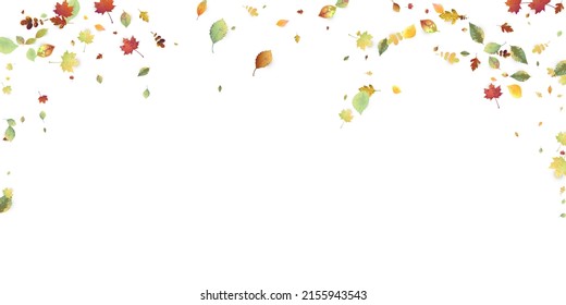 Leaves Falling. Autumn Flying Foliage. Chaotic Green, Yellow, Red Leaf Flying On White Background. Forest Design, Nature Elements. Ecology Vector Illustration. Environment Backdrop.