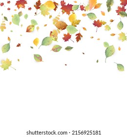 Leaves Falling. Autumn Flying Foliage. Chaotic Green, Yellow, Red Leaf Flying On White Background. Forest Design, Nature Elements. Ecology Vector Illustration. Environment Backdrop.