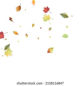 Leaves Falling. Autumn Flying Foliage. Chaotic Green, Yellow, Red Leaf Flying On White Background. Forest Design, Nature Elements. Ecology Vector Illustration. Environment Backdrop.