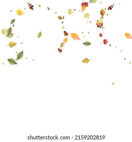 Leaves Falling. Autumn Flying Foliage. Chaotic Green, Yellow, Red Leaf Flying On White Background. Forest Design, Nature Elements. Ecology Vector Illustration. Environment Backdrop.