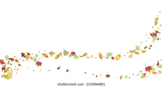 Leaves Falling. Autumn Flying Foliage. Chaotic Green, Yellow, Red Leaf Flying On White Background. Forest Design, Nature Elements. Ecology Vector Illustration. Environment Backdrop.