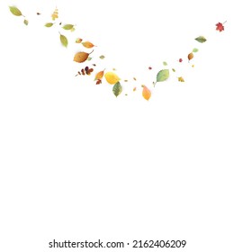 Leaves Falling. Autumn Flying Foliage. Chaotic Green, Yellow, Red Leaf Flying On White Background. Forest Design, Nature Elements. Ecology Vector Illustration. Environment Backdrop.