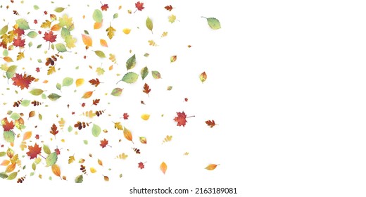 Leaves Falling. Autumn Flying Foliage. Chaotic Green, Yellow, Red Leaf Flying On White Background. Forest Design, Nature Elements. Ecology Vector Illustration. Environment Backdrop.