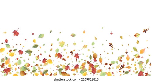 Leaves Falling. Autumn Flying Foliage. Chaotic Green, Yellow, Red Leaf Flying On White Background. Forest Design, Nature Elements. Ecology Vector Illustration. Environment Backdrop.