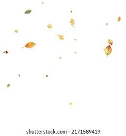 Leaves Falling. Autumn Flying Foliage. Chaotic Green, Yellow, Red Leaf Flying On White Background. Forest Design, Nature Elements. Ecology Vector Illustration. Environment Backdrop.