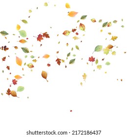 Leaves Falling. Autumn Flying Foliage. Chaotic Green, Yellow, Red Leaf Flying On White Background. Forest Design, Nature Elements. Ecology Vector Illustration. Environment Backdrop.