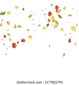 Leaves Falling. Autumn Flying Foliage. Chaotic Green, Yellow, Red Leaf Flying On White Background. Forest Design, Nature Elements. Ecology Vector Illustration. Environment Backdrop.