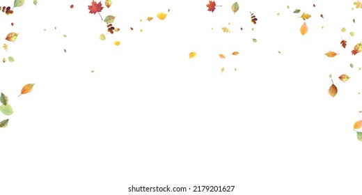 Leaves Falling. Autumn Flying Foliage. Chaotic Green, Yellow, Red Leaf Flying On White Background. Forest Design, Nature Elements. Ecology Vector Illustration. Environment Backdrop.