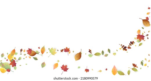 Leaves Falling. Autumn Flying Foliage. Chaotic Green, Yellow, Red Leaf Flying On White Background. Forest Design, Nature Elements. Ecology Vector Illustration. Environment Backdrop.