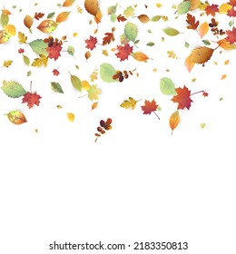Leaves Falling. Autumn Flying Foliage. Chaotic Green, Yellow, Red Leaf Flying On White Background. Forest Design, Nature Elements. Ecology Vector Illustration. Environment Backdrop.